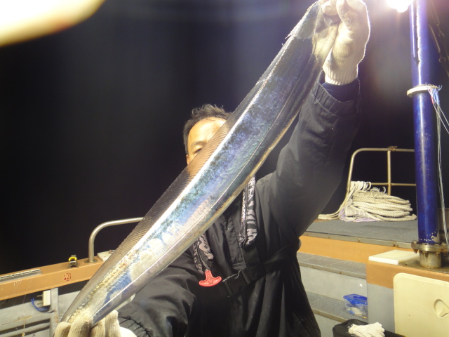 10월11일 갈치조황입니다.