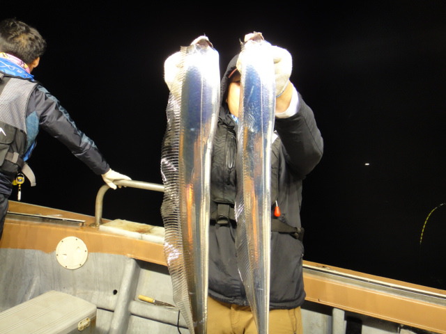 9월 19일 갈치조황입니다.