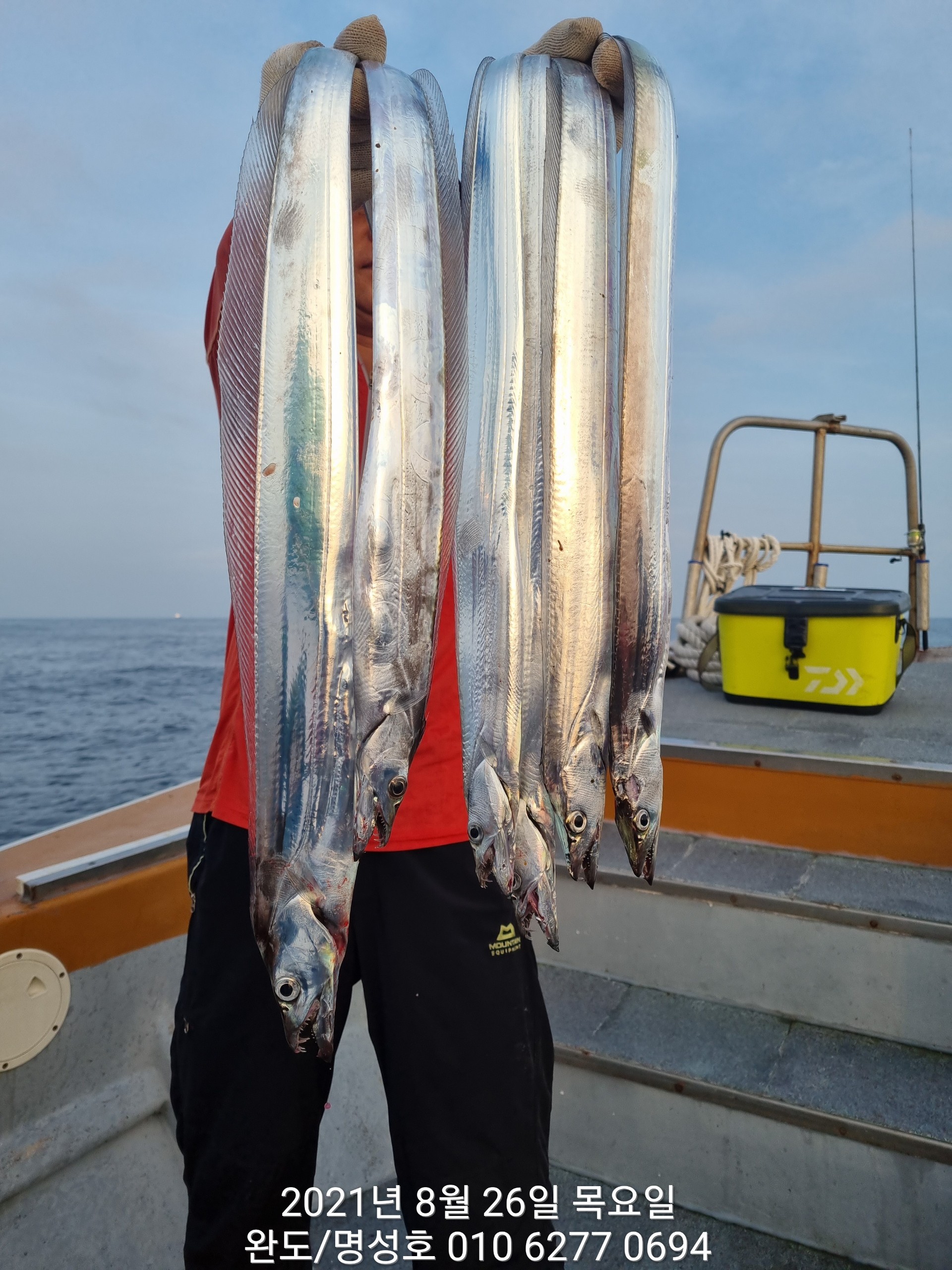8월26일 갈치낚시조황