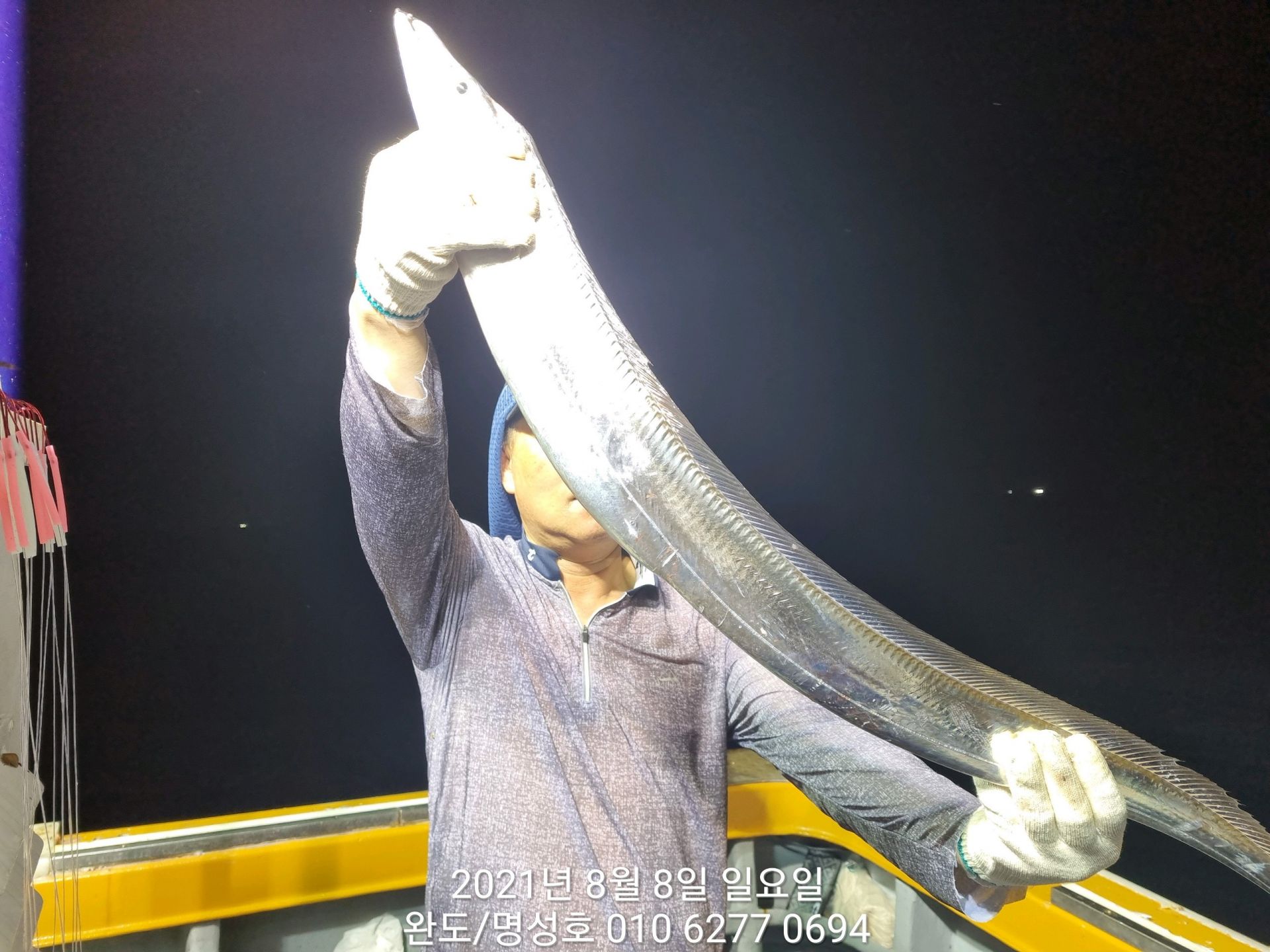 8월7일 명성호 갈치낚시조황